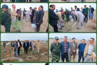 تاکید رئیس سازمان منابع طبیعی و آبخیزداری کشور بر توانمندسازی جوامع محلی تاکید رئیس سازمان منابع طبیعی و آبخیزداری کشور بر توانمندسازی جوامع محلی