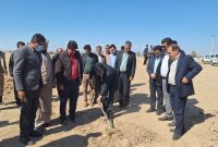 آغاز پروژه ۸۰ هکتاری نهال کاری در عنبرآباد آغاز پروژه ۸۰ هکتاری نهال کاری در عنبرآباد