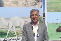 شترداران زیر چتر حمایتی سازمان جهاد کشاورزی جنوب کرمان