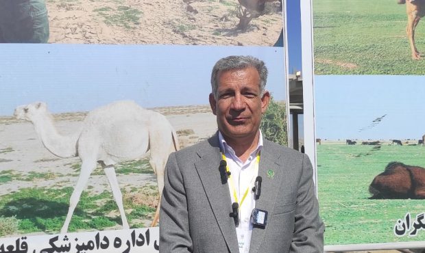 شترداران زیر چتر حمایتی سازمان جهاد کشاورزی جنوب کرمان شترداران زیر چتر حمایتی سازمان جهاد کشاورزی جنوب کرمان