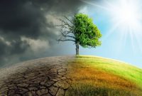 یادداشت/ روز جهانی مبارزه با تغییرات اقلیمی؛ فراخوانی برای حفاظت از منابع طبیعی