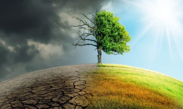 یادداشت/ روز جهانی مبارزه با تغییرات اقلیمی؛ فراخوانی برای حفاظت از منابع طبیعی