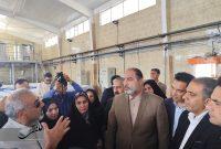 بازدید معاون سیاسی امنیتی استاندار کرمان از کارخانه های رب گوجه فرنگی جنوب کرمان