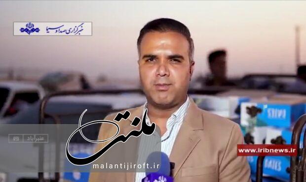 آغاز برداشت خرما در بیش از ۸۵۰۰ هکتار نخیلات عنبرآباد / بزرگترین بازار خرمای ایران در عنبرآباد شکل گرفت آغاز برداشت خرما در بیش از ۸۵۰۰ هکتار نخیلات عنبرآباد / بزرگترین بازار خرمای ایران در عنبرآباد شکل گرفت