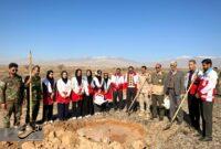 پویش ملی «درختی برای پدر، سبزی برای ایران» با غرس ۳ هزار اصله نهال در جنوب کرمان برگزار شد پویش ملی «درختی برای پدر، سبزی برای ایران» با غرس ۳ هزار اصله نهال در جنوب کرمان برگزار شد