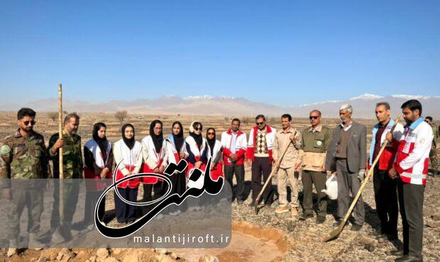 پویش ملی «درختی برای پدر، سبزی برای ایران» با غرس ۳ هزار اصله نهال در جنوب کرمان برگزار شد