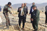 جنوب کرمان جزو ۱۰ استان پیشرو در اجرای طرح ملی کاشت یک میلیارد درخت