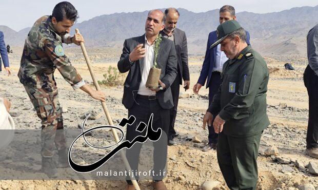 جنوب کرمان جزو ۱۰ استان پیشرو در اجرای طرح ملی کاشت یک میلیارد درخت
