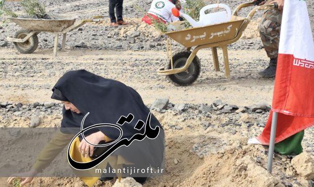 گزارش تصویری پویش درختکاری «در سایه مادر» گزارش تصویری پویش درختکاری «در سایه مادر»